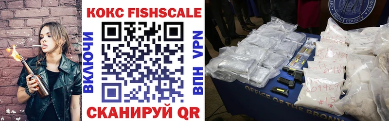 COCAIN Fish Scale  Кадников 