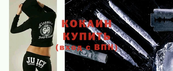 хмурый Осинники