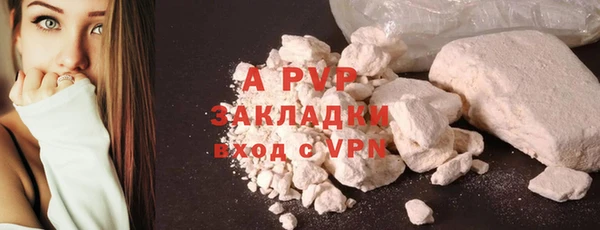 хмурый Осинники