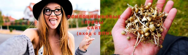 героин Осташков