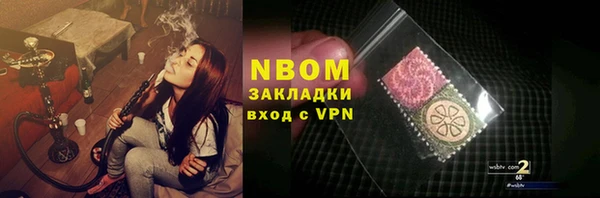 хмурый Осинники