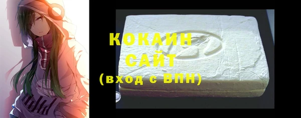 прущие крисы Горняк