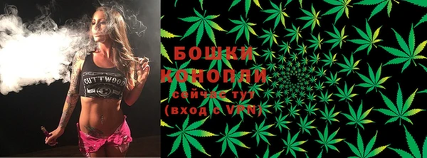 хмурый Осинники