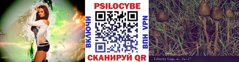 купить   Кадников  Псилоцибиновые грибы ЛСД 
