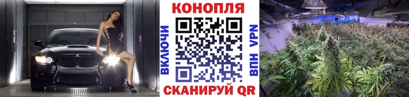 kraken   Кадников  Бошки Шишки марихуана 